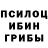Псилоцибиновые грибы Psilocybine cubensis A. Arkeyus