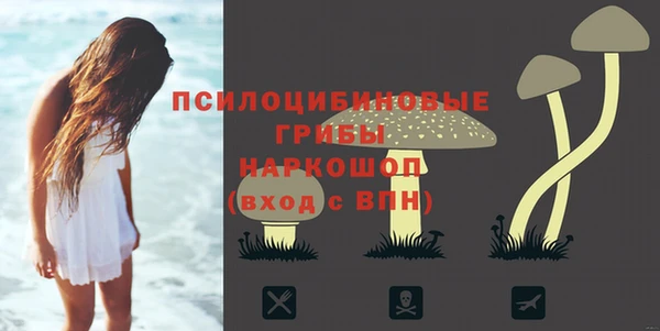 тгк Надым
