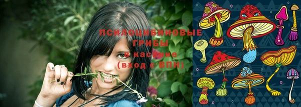тгк Надым