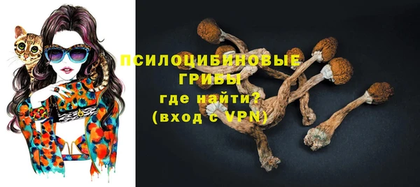 крисы Навашино