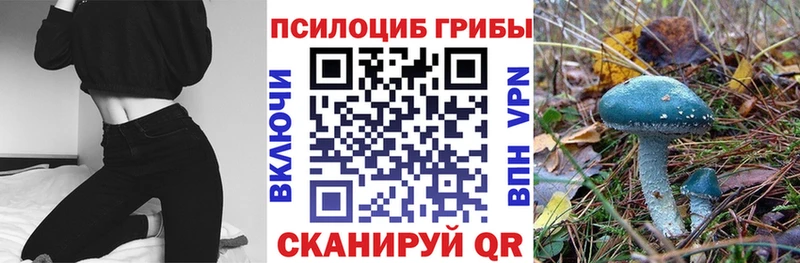 Псилоцибиновые грибы Magic Shrooms  Купить закладки  Куйбышев 